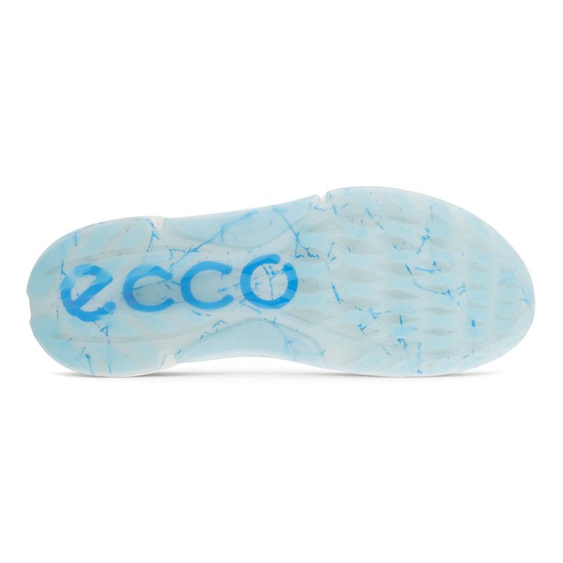 Ecco Biom H4 Golf Shoes 108244